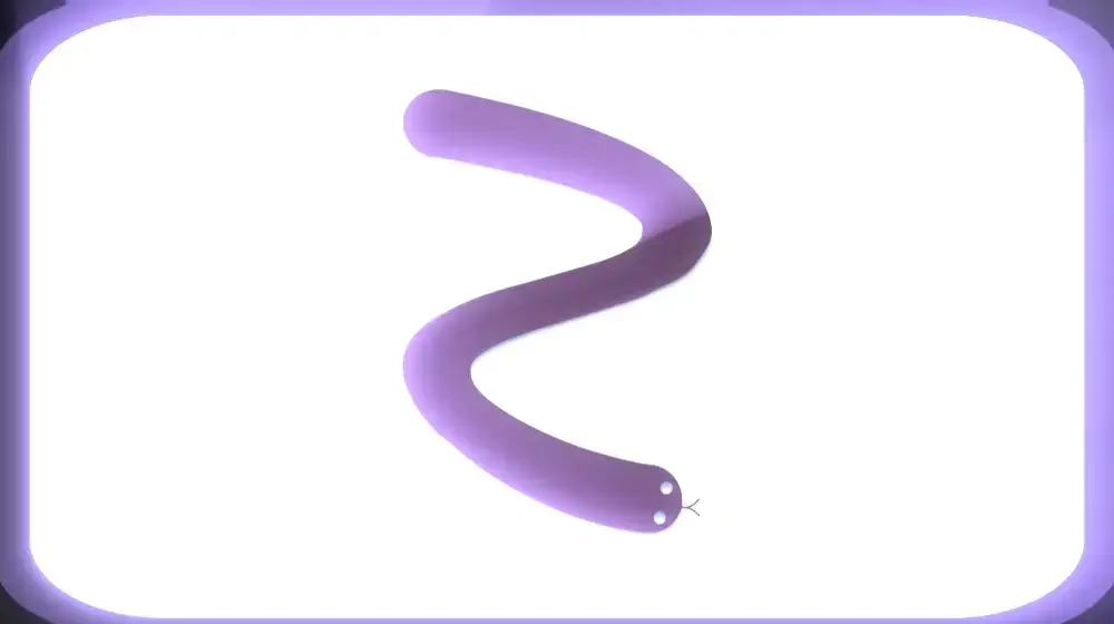 Zig Snake
